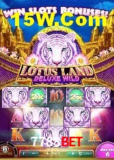 Recursos de Bônus 7788Bet